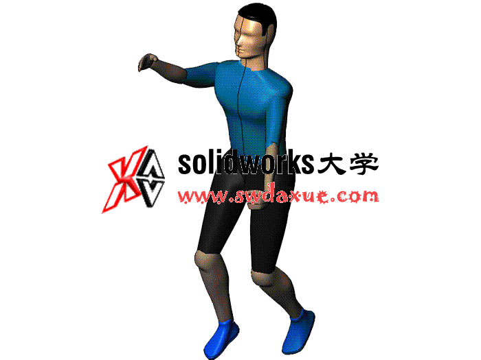 关节可调式人体模型  方案素材 solidworks 3D 零件库